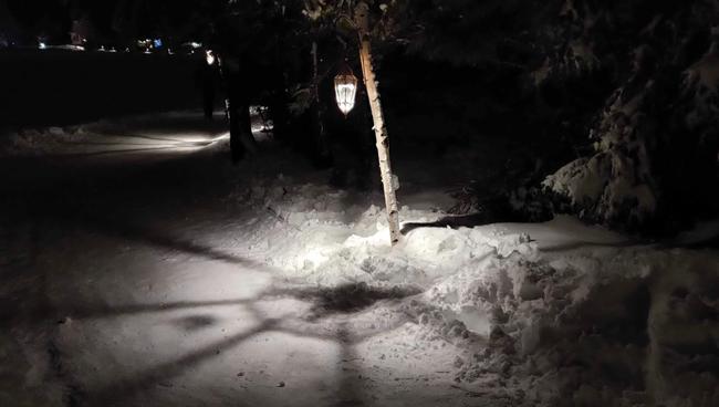 The first 20 minutes