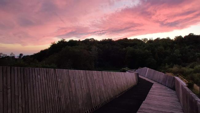 Looking back on FehPedia